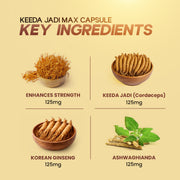 Vaidban Lazab Keeda Jadi Max ingredients, Cordyceps Ayurvedic blend
