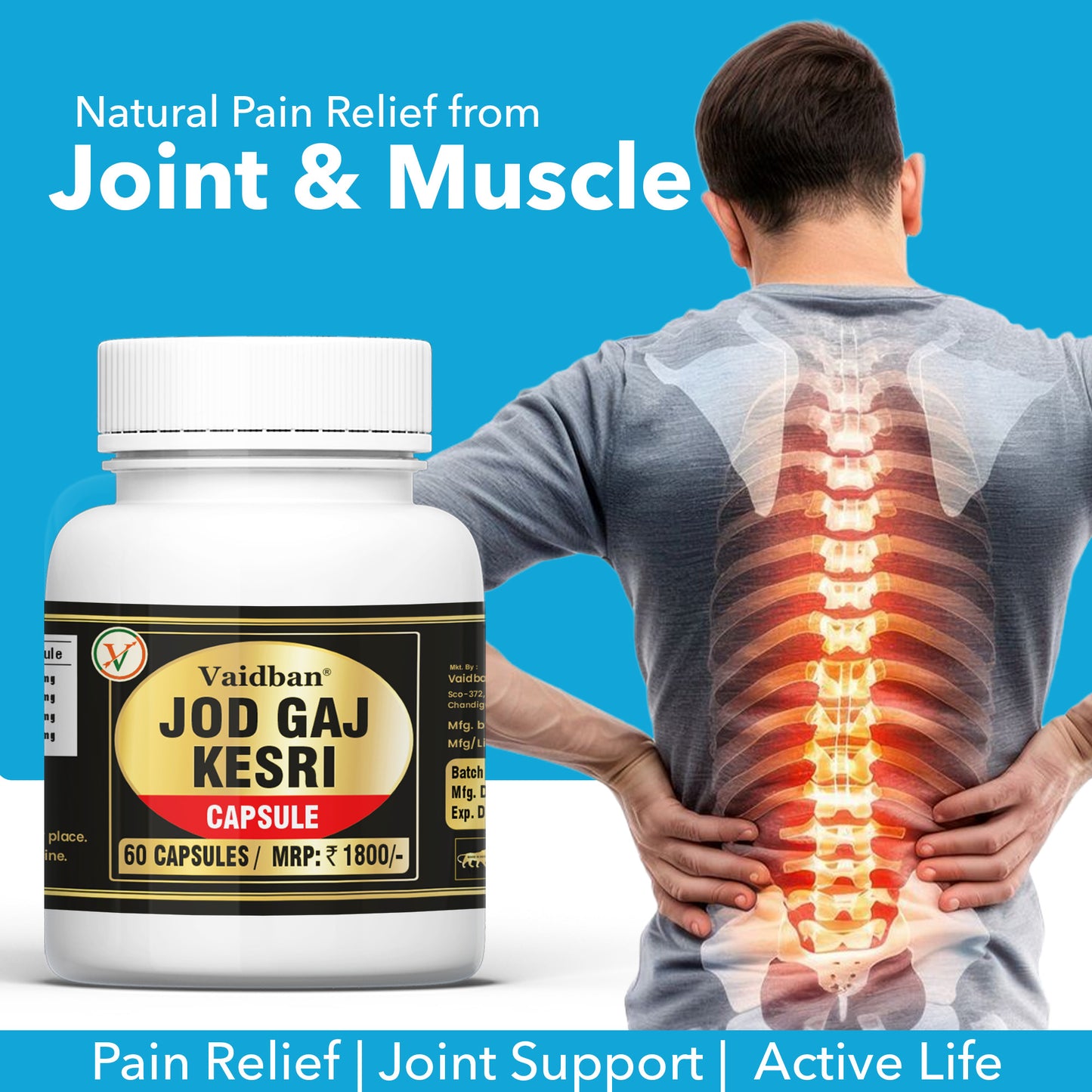 Vaidban Jod Gaj Kesri Capsule – Natural Joint & Muscle Pain Relief
