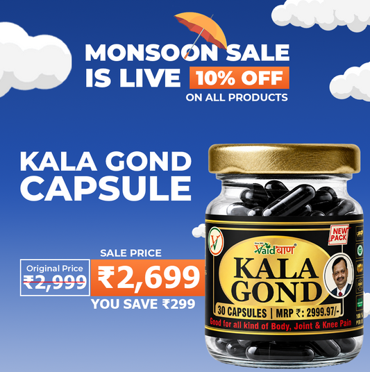 Vaidban Kala Gond Capsule - Pain Relief Capsule | Knee Pain