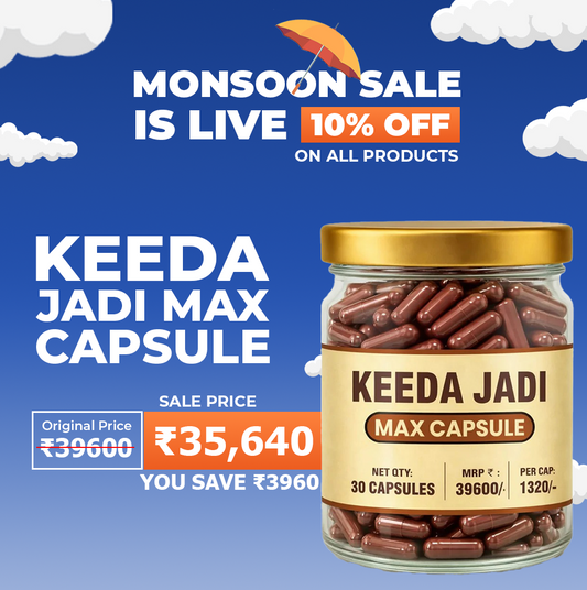 Lazab Keeda Jadi Max Capsule - Premium Men's Wellness Formula