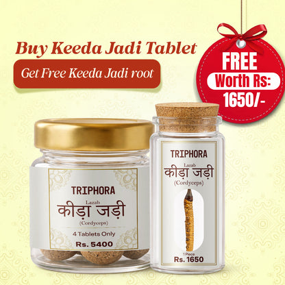 Triphora Kida-Jadi (Cordyceps)  (Keeda Jadi ) Sample Pack - 4 Tablets