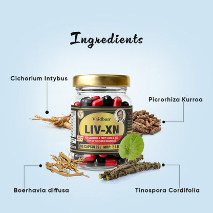 Vaidban LIV-XN Capsules - Advanced Liver Support Supplement for Fatty Liver, Natural Liver Health & Detox, Herbal Formula for Overall Liver Care