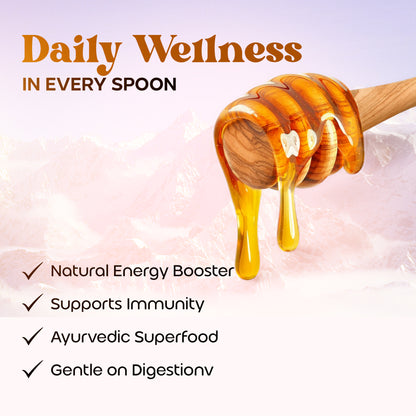 Vaidban Raw Pahadi Honey – 100% Pure Himalayan Honey | Natural & Unprocessed