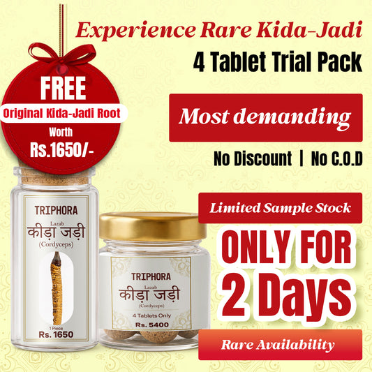 Triphora Kida-Jadi (Cordyceps)  (Keeda Jadi ) Sample Pack - 4 Tablets