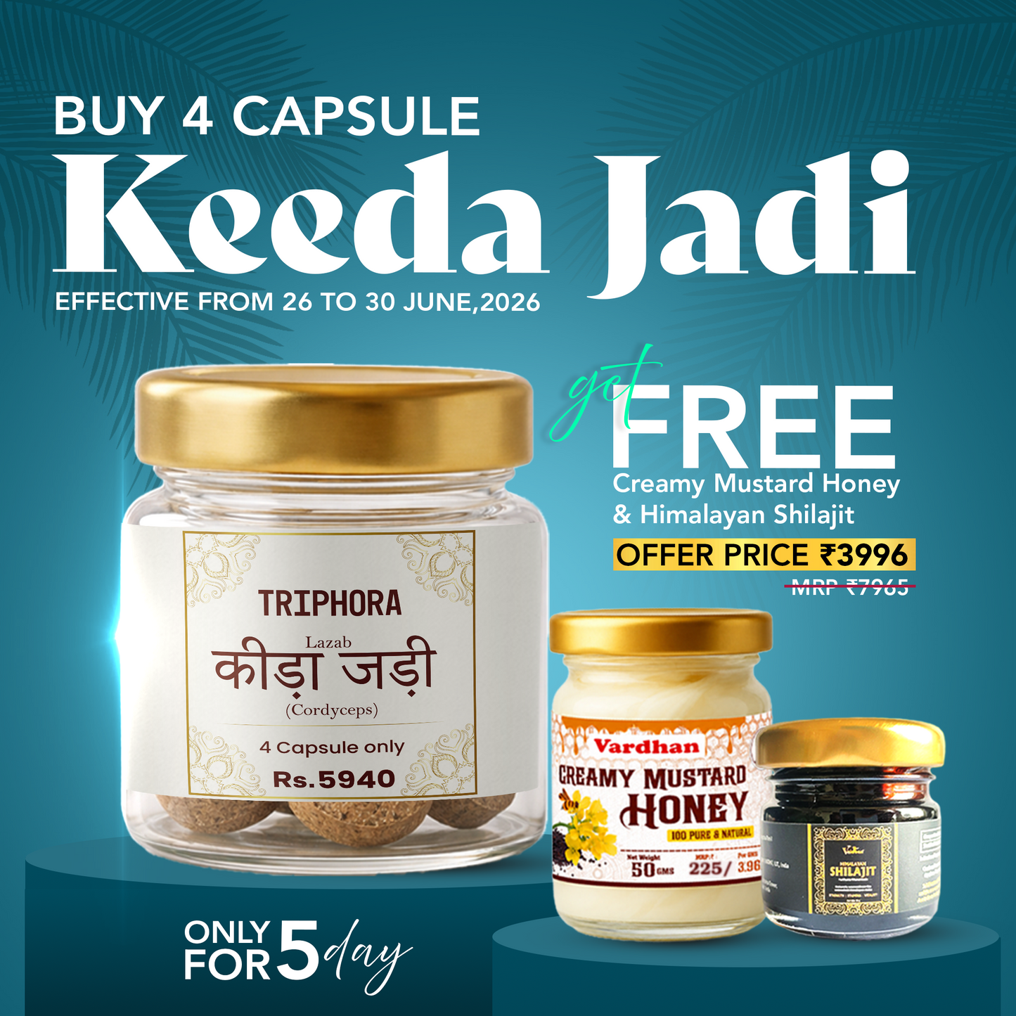 Triphora Keeda Jadi Capsule + Free Himalayan Shilajit + Free Creamy Mustard Honey – Ultimate Power Combo