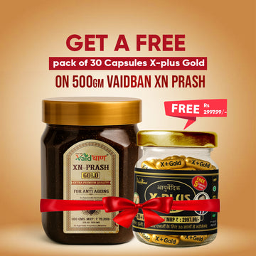 Vaidban XN-Prash Gold – Extra Premium Chyawanprash with Pure Gold Leaf for Anti-Ageing Excellence